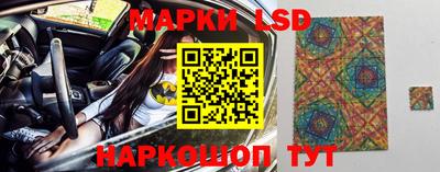 прущие грибы Кунгур