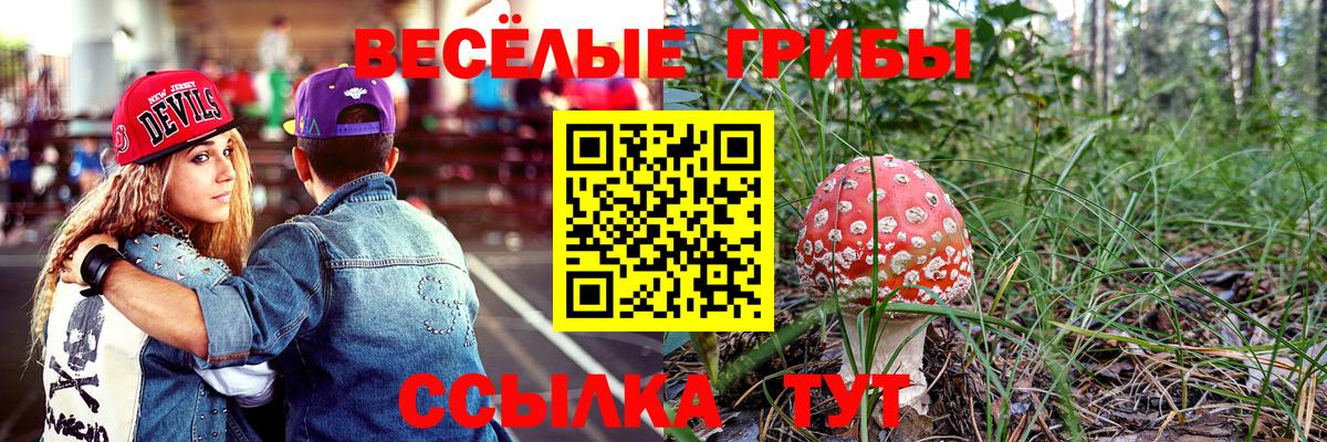 Тула  наркотики  Вход с VPN  Псилоцибиновые грибы MAGIC MUSHROOMS 
